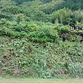 C360_2014-06-15-09-54-23_org