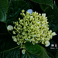 C360_2014-06-15-10-02-00_org