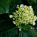 C360_2014-06-15-10-02-11_org