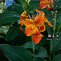 C360_2014-06-15-10-03-43_org