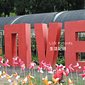 DSCN2204