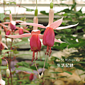 DSCN2290