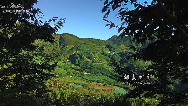 P_20140827_061807_HDR