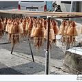DSCN4267.jpg