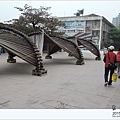 DSCN4315.jpg