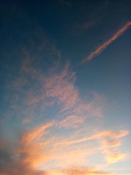 IMG20200723185557 IMG20200723185557