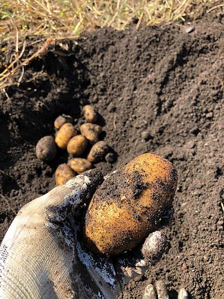 received_525822921325905 received_525822921325905