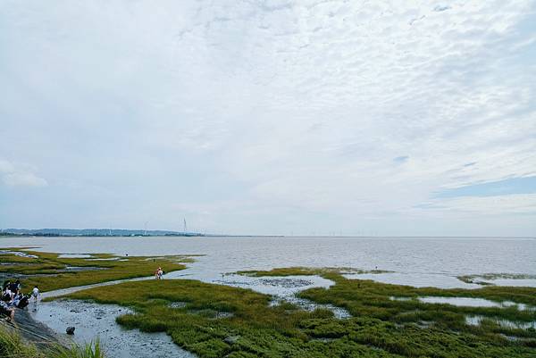 香山濕地a 香山濕地a