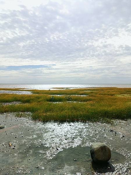 香山濕地b 香山濕地b