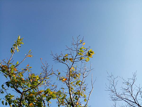 IMG20201031152710 IMG20201031152710