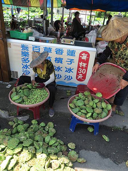 路旁的婆婆正在挖蓮子