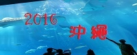 2016 沖繩