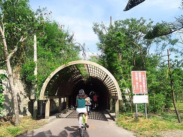 回到了花架隧道，我們從樹屋前的岔路出來的