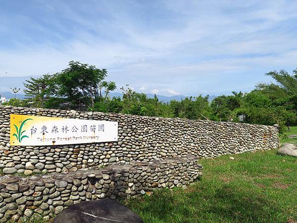 左彎騎到了苗圃區(600M)