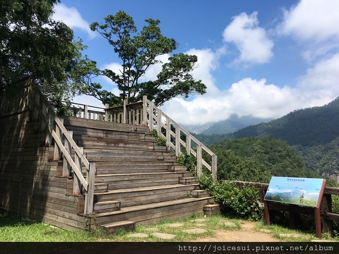 先上去欣賞一下風景