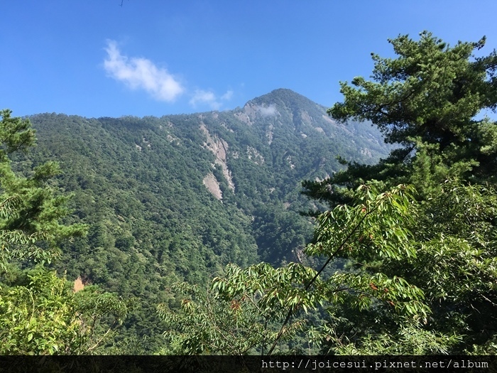 走回杜鵑嶺步道吧