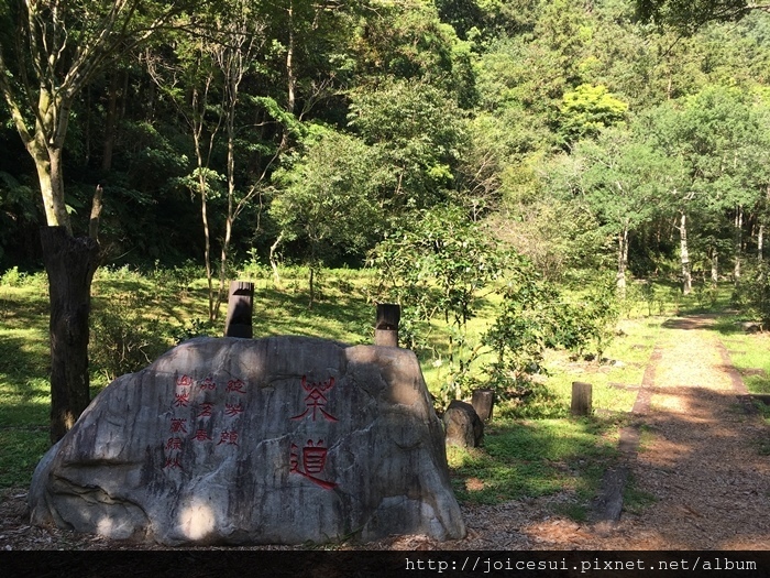 青蛙石步道之前有一段%22茶道%22