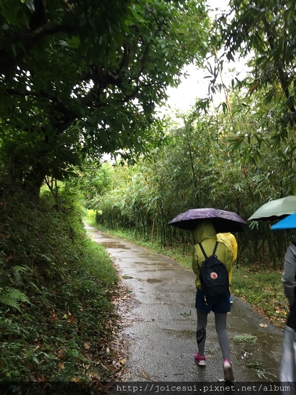 這邊是水泥路