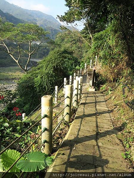 決定走一段跟剛剛一樣的步道，但是往右邊走~