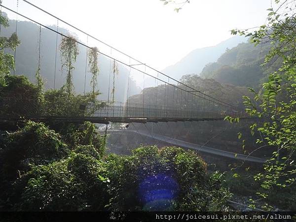 跟一號吊橋好近