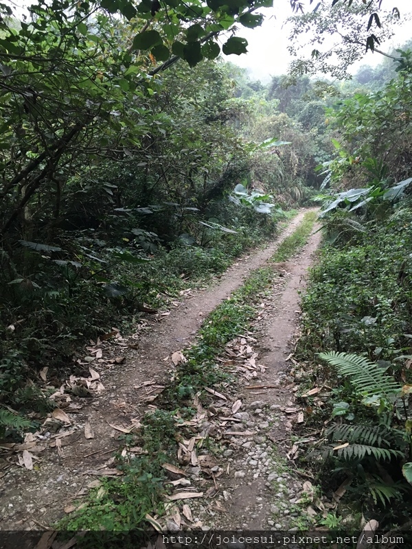 一開始路很大條