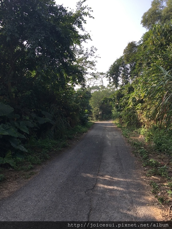 很大條的柏油路，車是可以直接開上來的