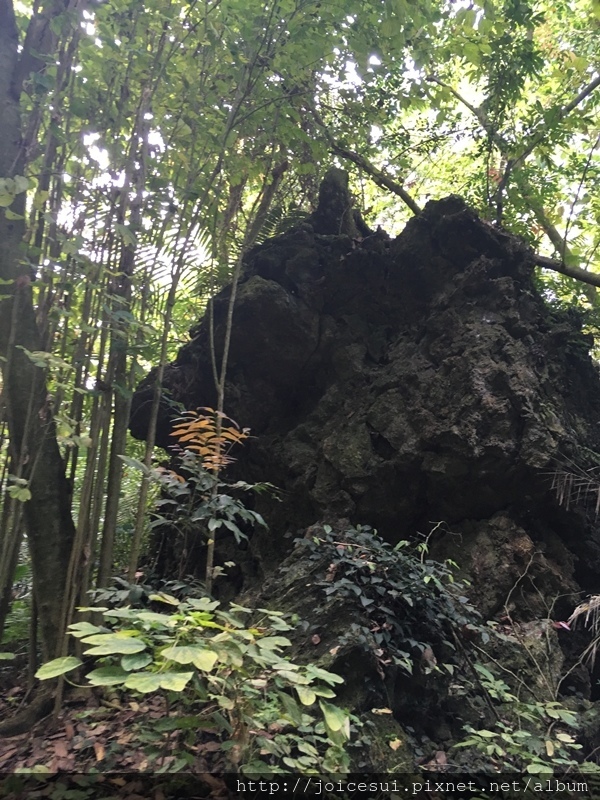 這個奇形岩石我有點印象