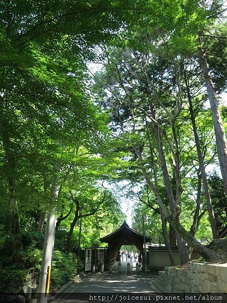 離開臥雲橋