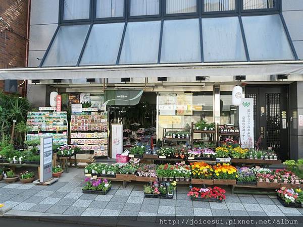 很亮眼的花店