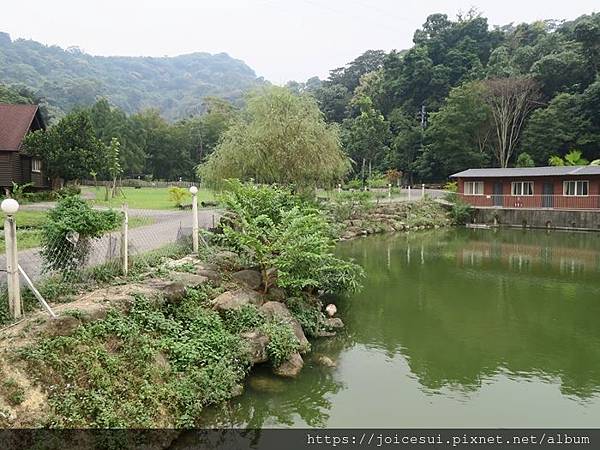 車子從這條馬路開過來的