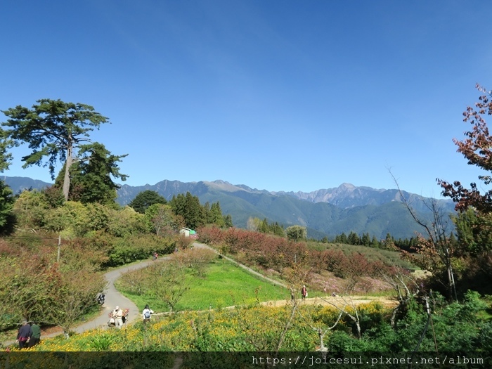 此處看山景