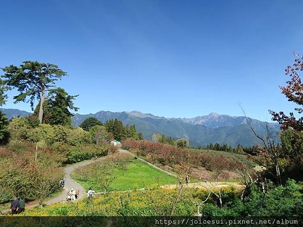 此處看山景