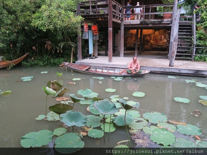 對面阿伯在餵龜