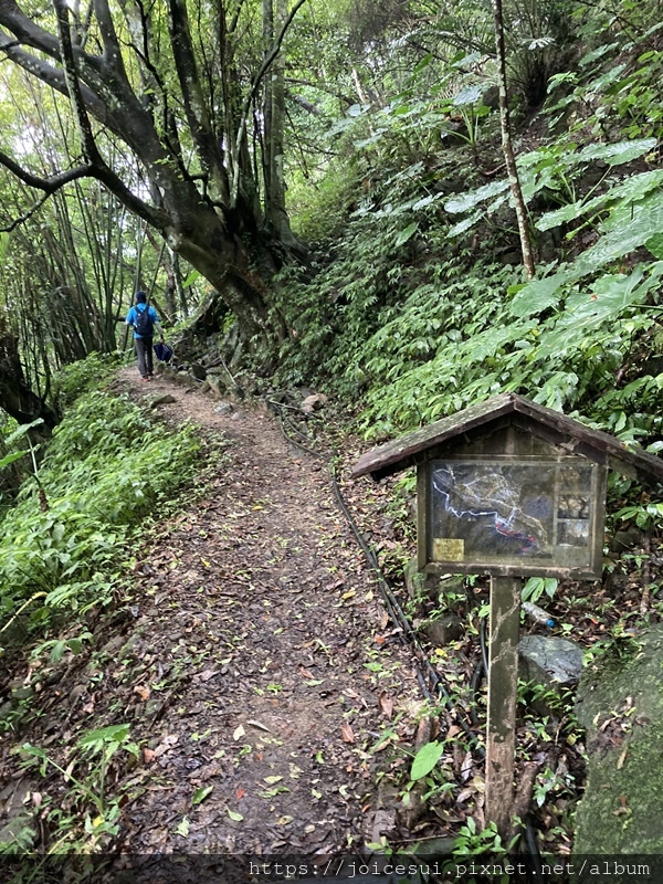 山間小路