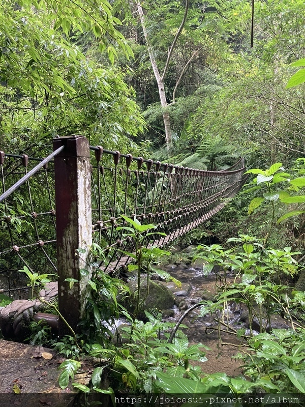 有一條窄吊橋