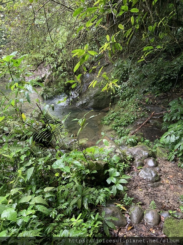 這邊離溪水好近