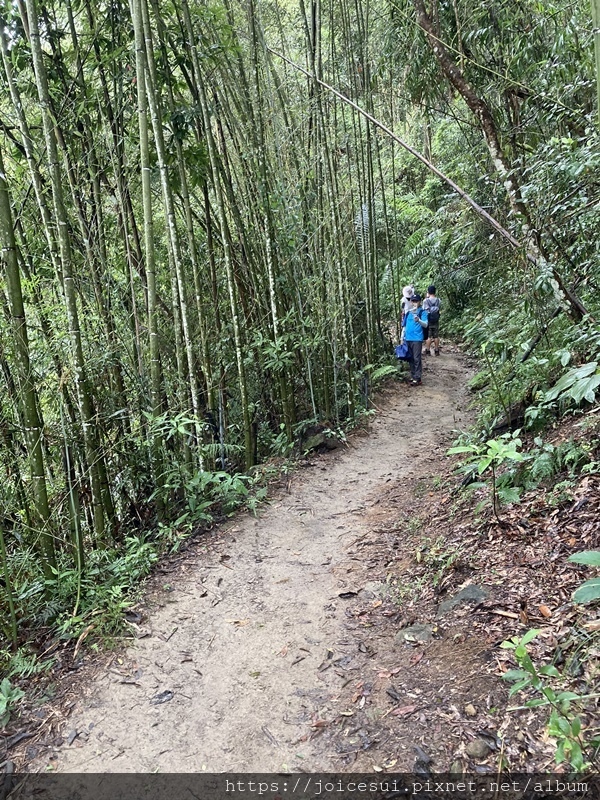 這一段左手邊是竹林滿美的