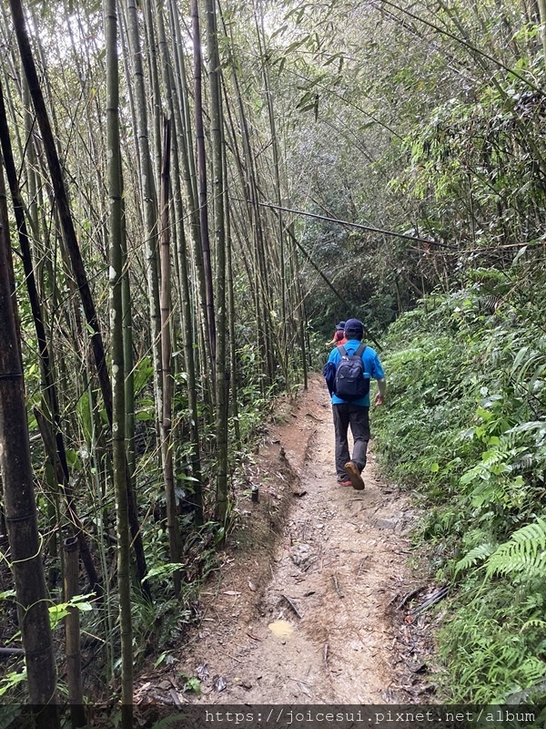 但這一段非常泥濘