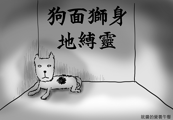 訓練狗狗 不怕打雷