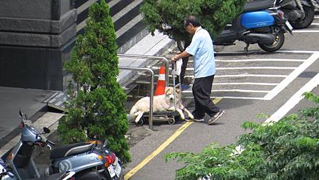 IMG_1951 IMG_1951