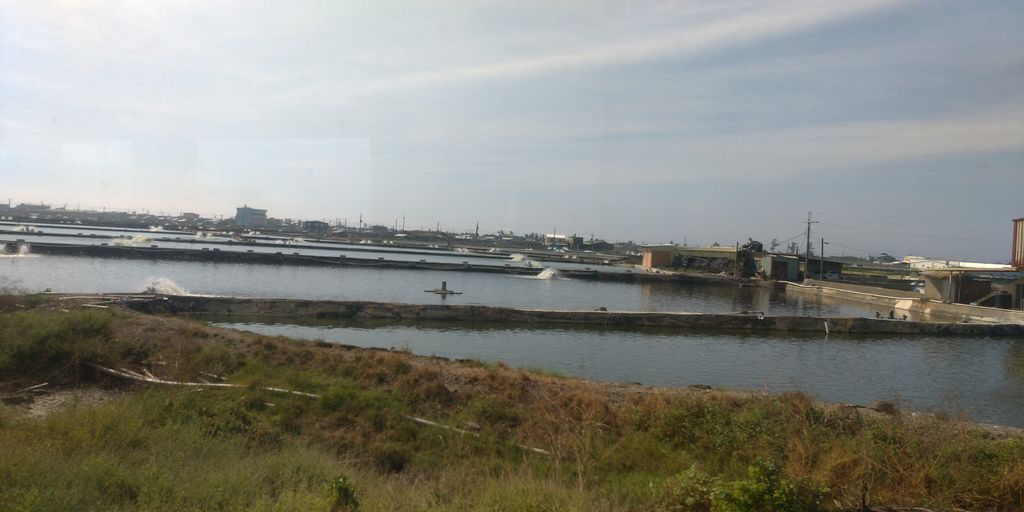 臺東小輕旅 02 臺東小輕旅 02
