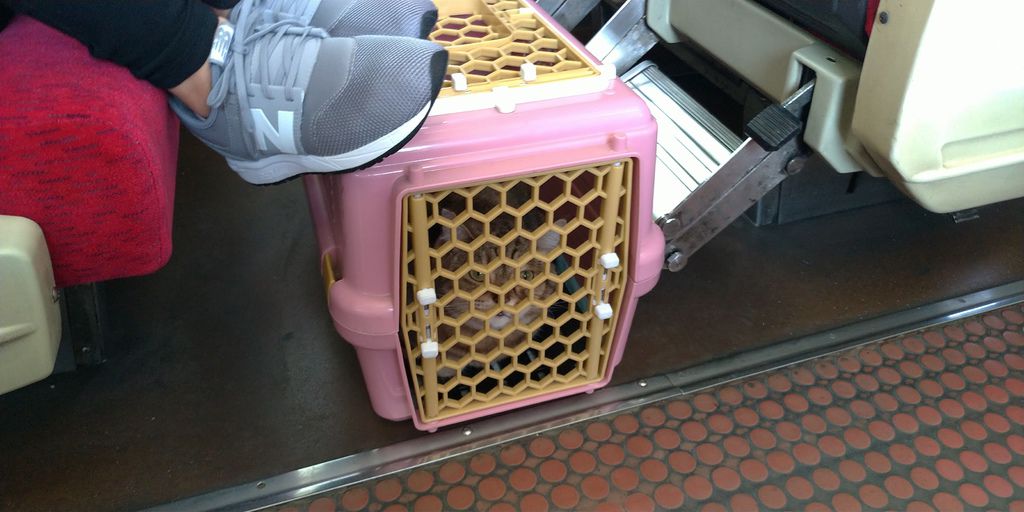 臺東小輕旅 12 臺東小輕旅 12