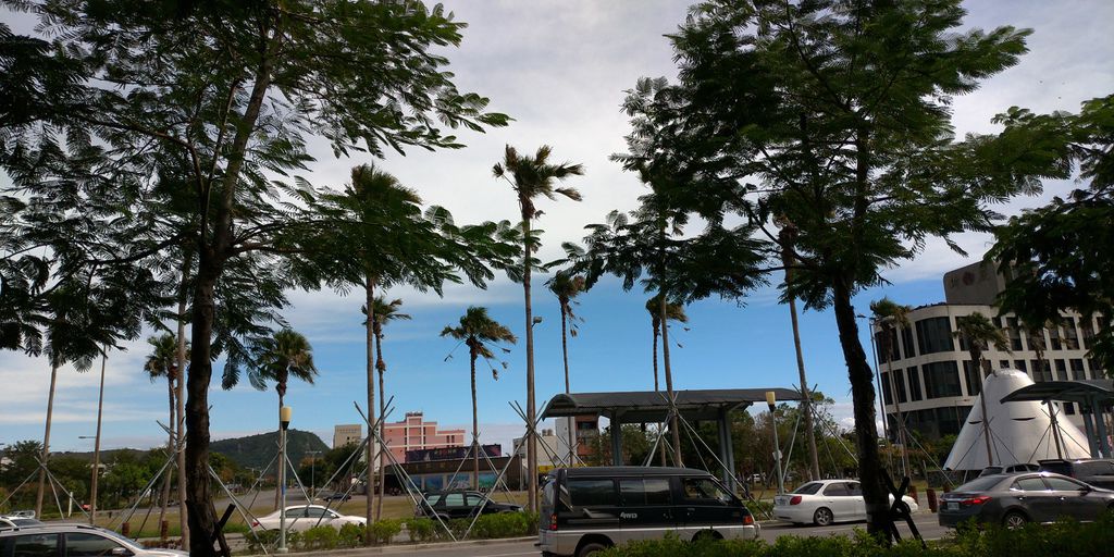 臺東小輕旅 35 臺東小輕旅 35