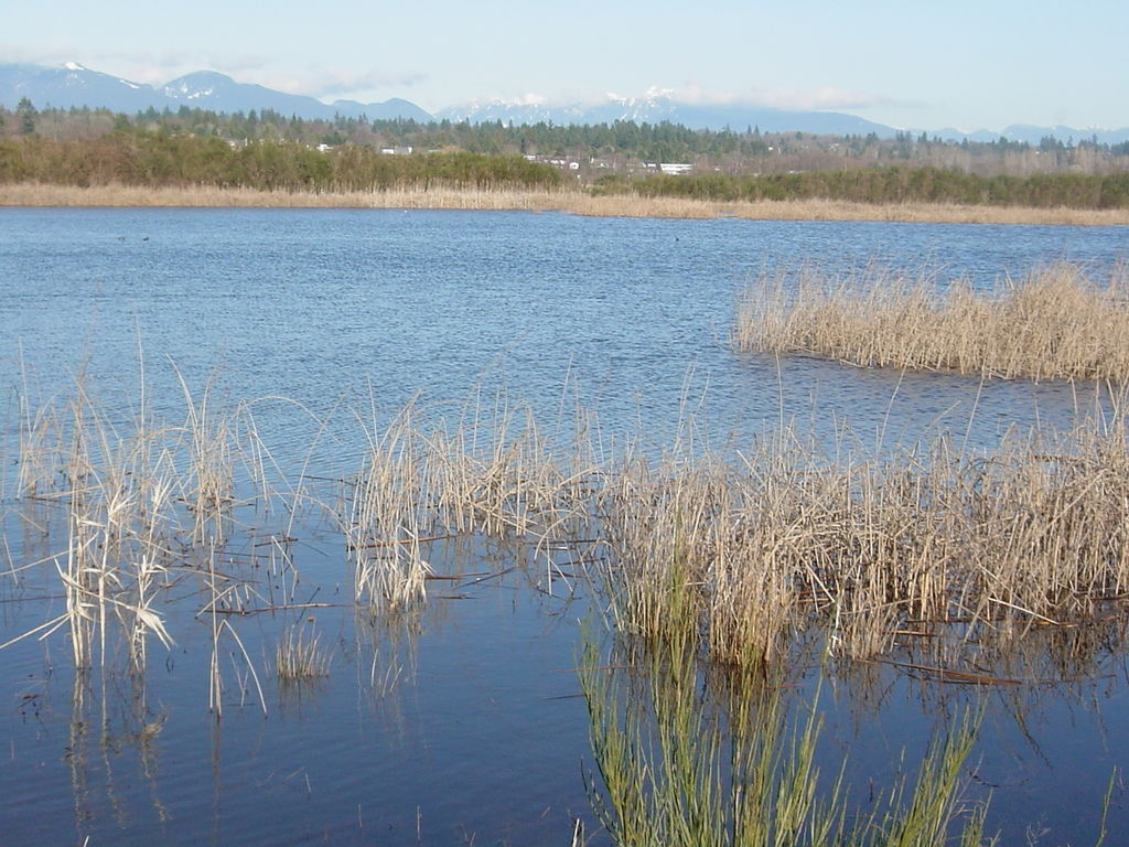 YVR_20040220162400_Fraser River