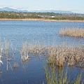 YVR_20040220162400_Fraser River