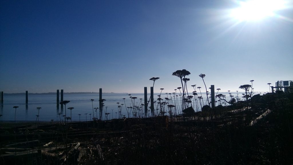 魯魯島西堤快走 0112-07 魯魯島西堤快走 0112-07