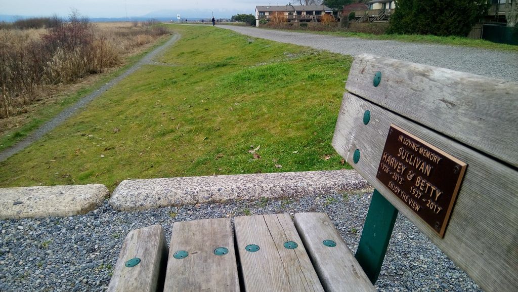 魯魯島西堤快走 0126-01 魯魯島西堤快走 0126-01