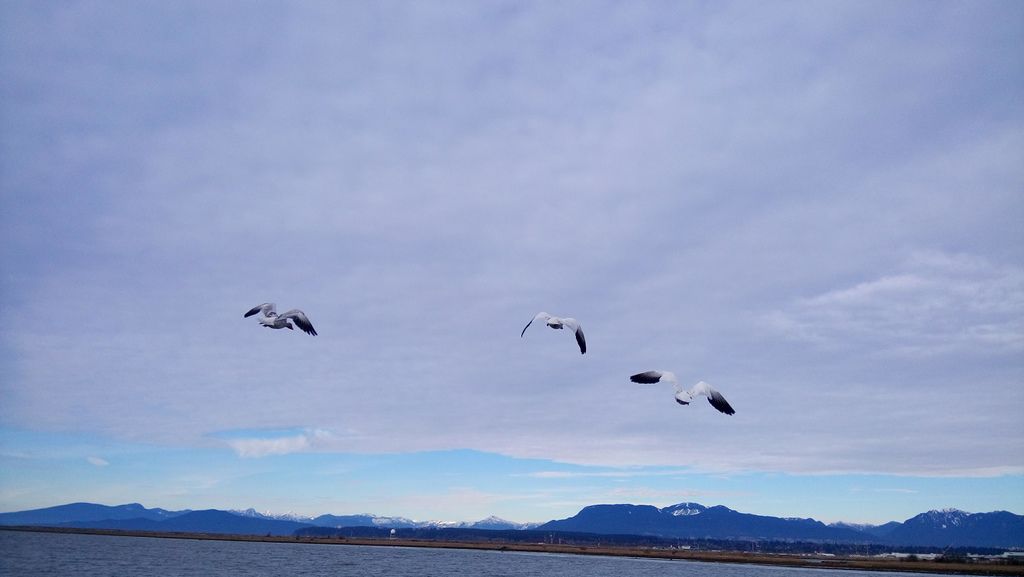 魯魯島西堤快走 0128-09