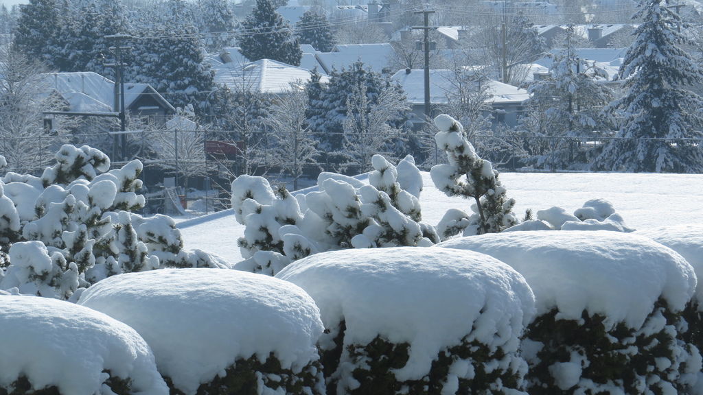 踏雪尋野趣 0213-02