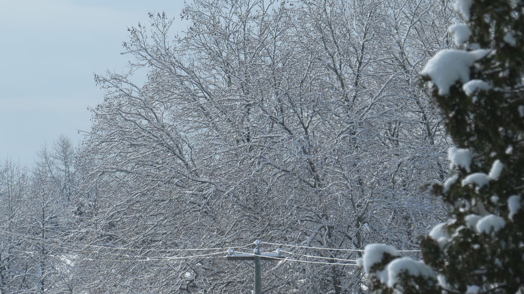 踏雪尋野趣 0213-03